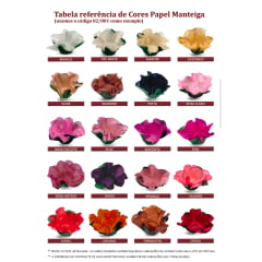 Modelo 02/001 - 50 unid